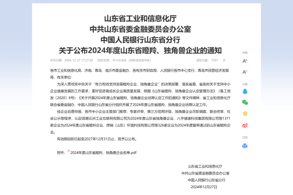 山东盛和电子有限公司被认定为山东省瞪羚企业